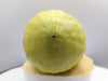 Choose your own Yanover Esrog Option #2405
