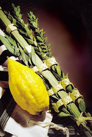 Lulav and Etrog set from Israel