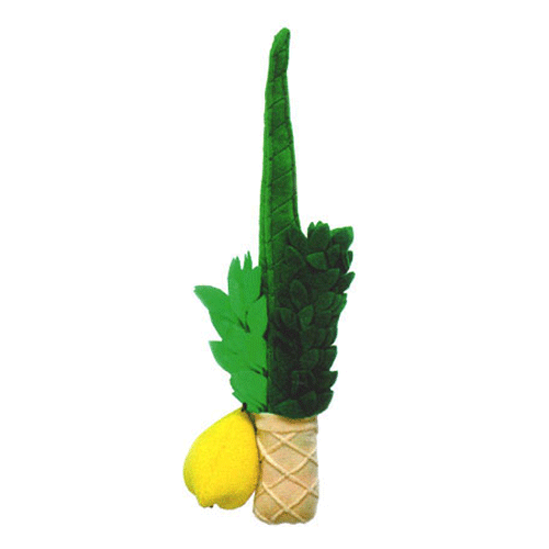 Lulav & Etrog Children's Plush Play Set